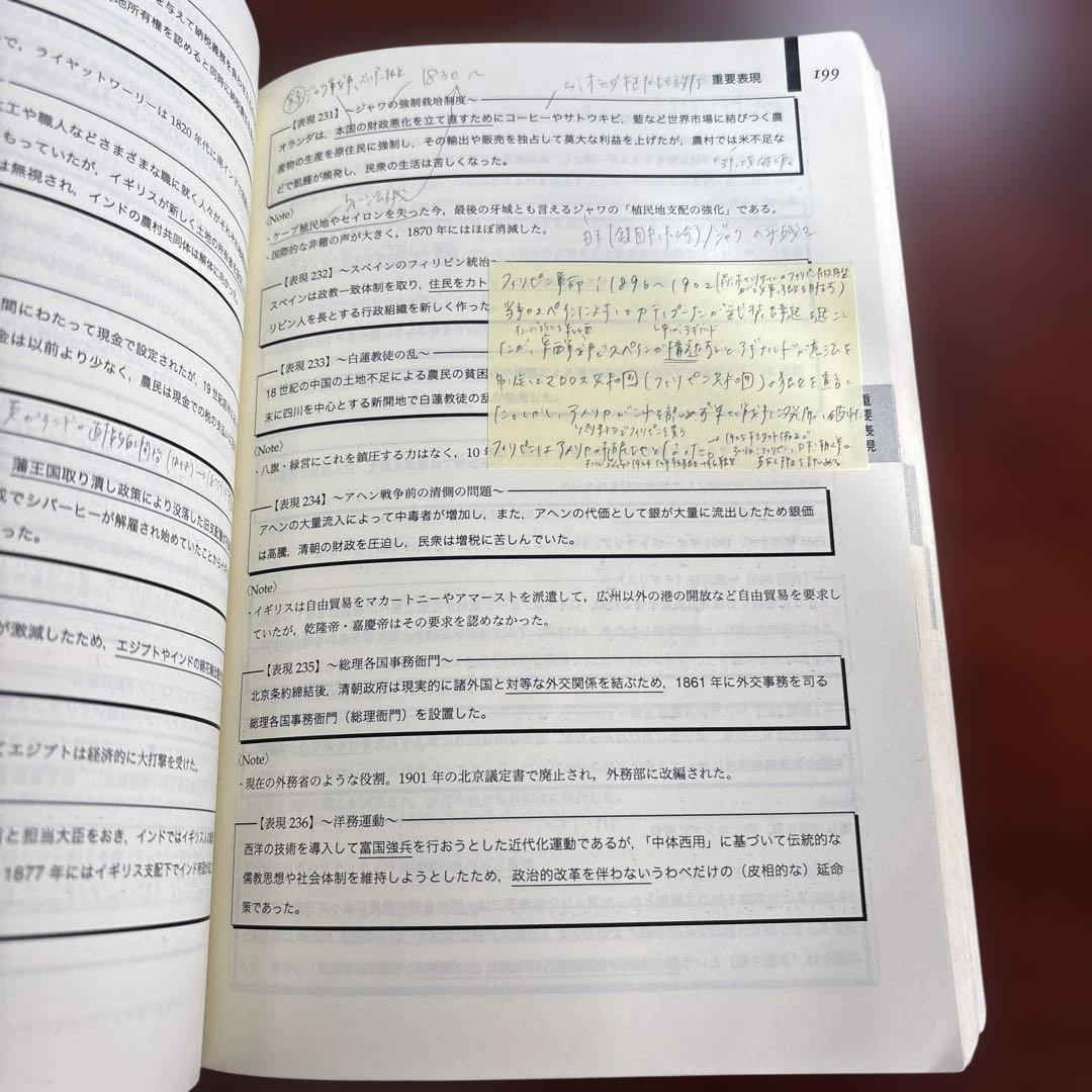 鉄緑会　入試世界史確認シリーズ