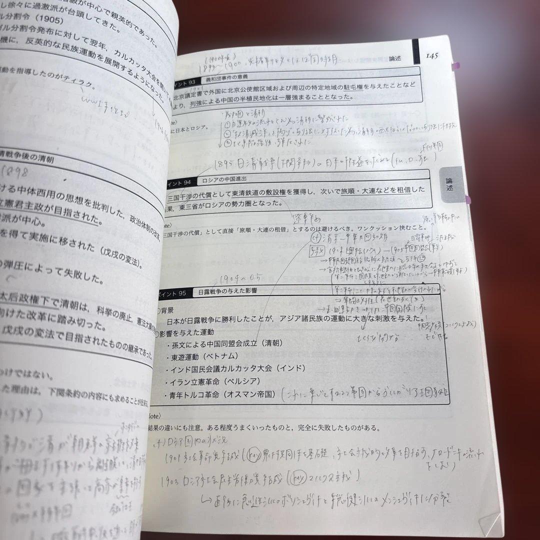 鉄緑会　入試世界史確認シリーズ
