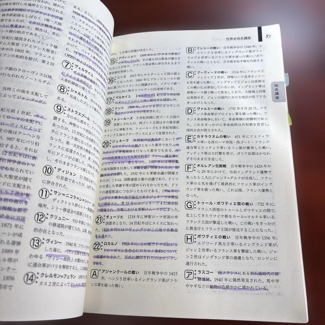 鉄緑会　入試世界史確認シリーズ