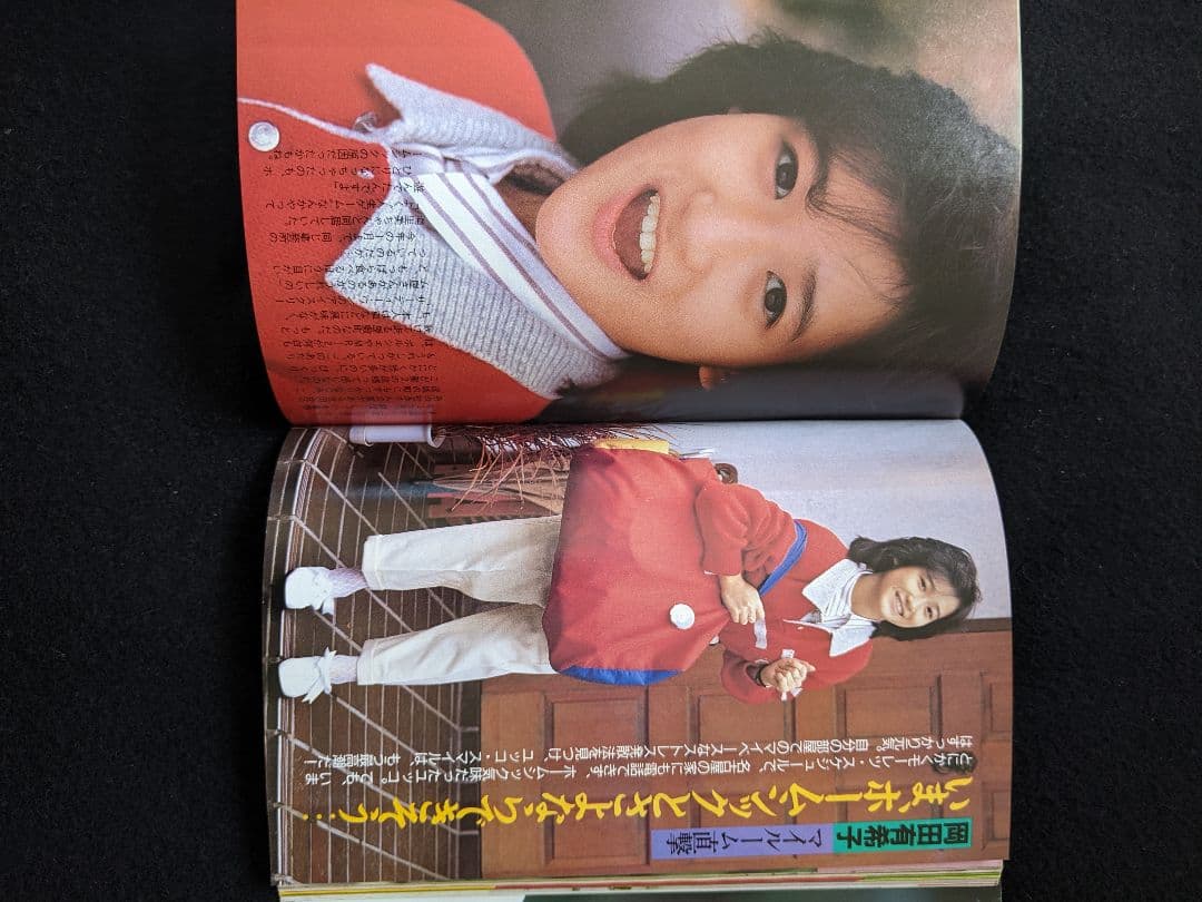 ダンク　小泉今日子　岡田有希子　沢口靖子　菊池桃子　中森明菜　河合奈保子　シール