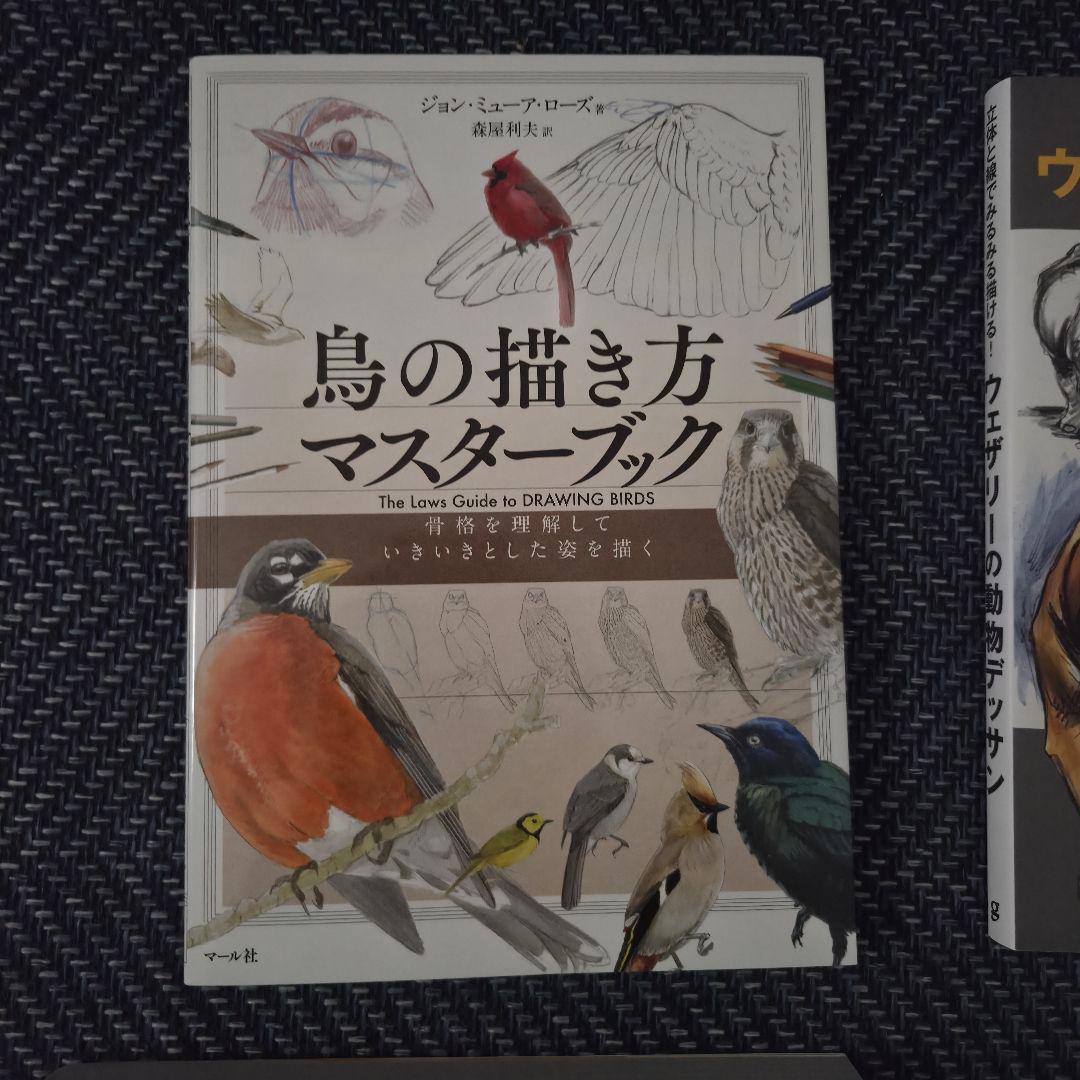 美術解剖学・動物デッサン本 4冊セット