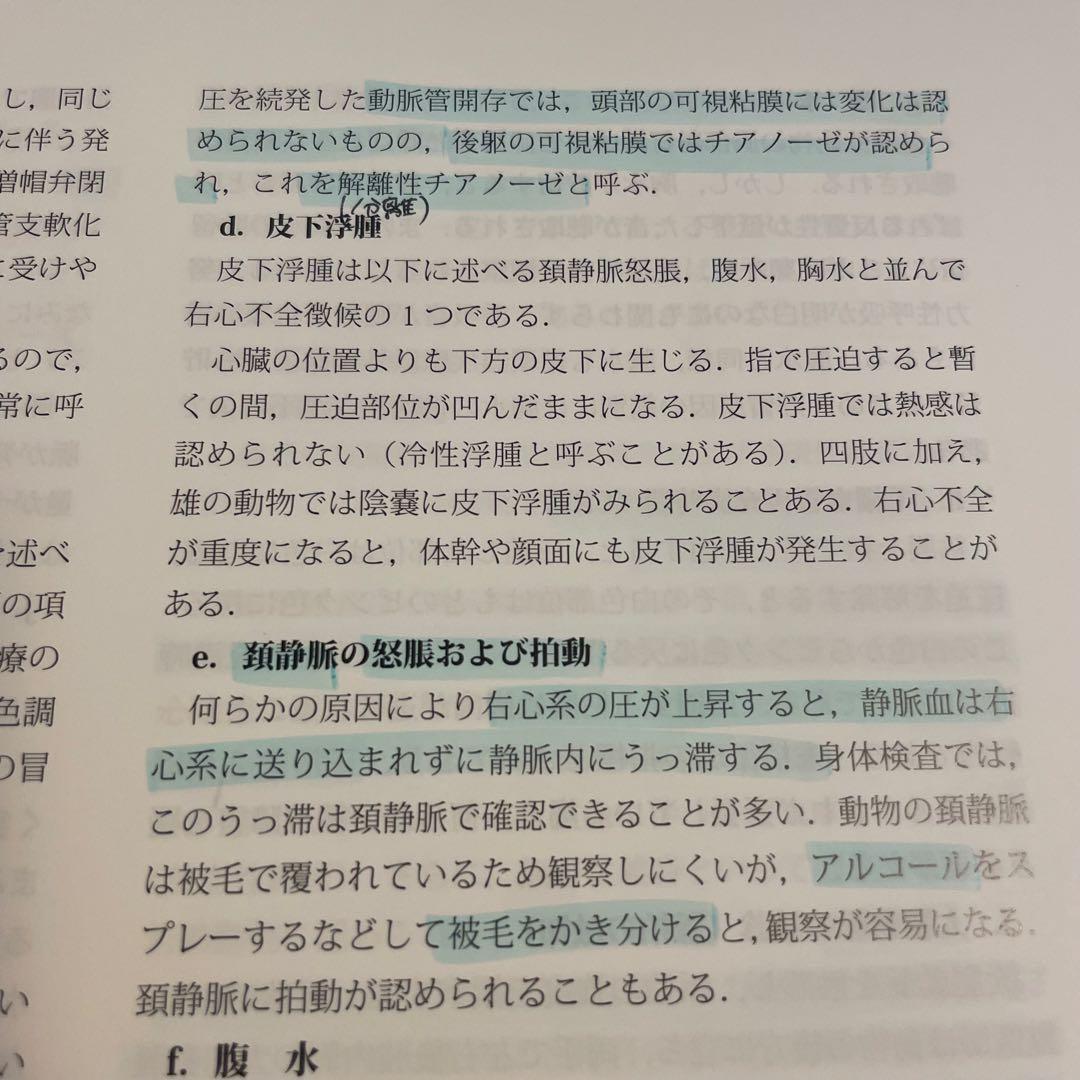 獣医内科学 第3版 伴侶動物編 産業動物編 2冊セット