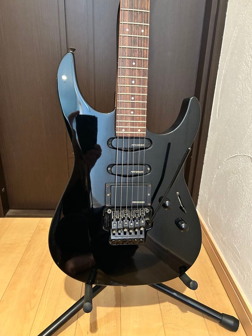 フェルナンデス FR-55