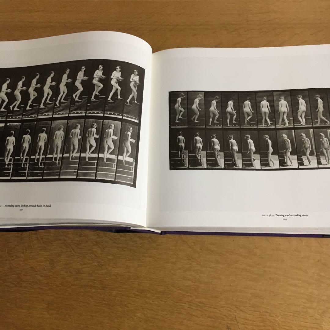 アート・デザイン・音楽 Eadweard Muybridge.