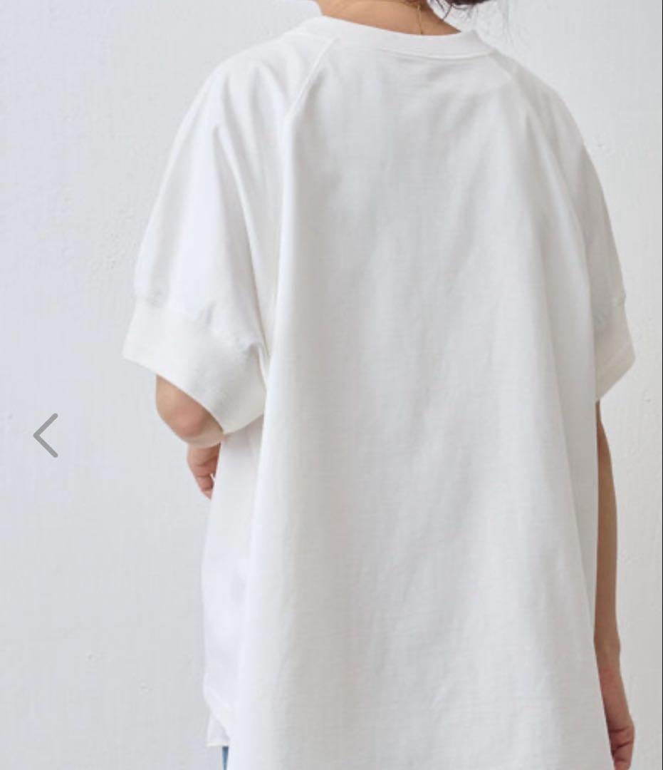 ゆらし☆ビアズリー　BEARDSLEY 刺しゅう入りドルマンT