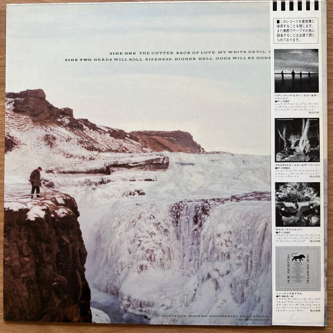 Echo & The Bunnymen – Porcupine