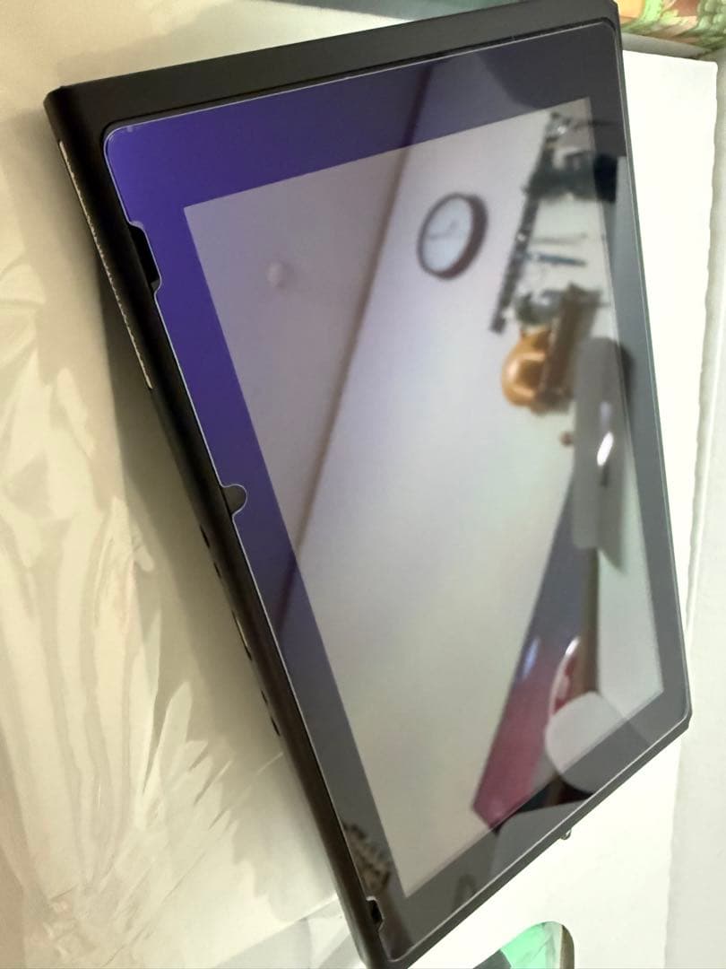 Nintendo Switch あつまれどうぶつの森セット+ハードケース【完品】