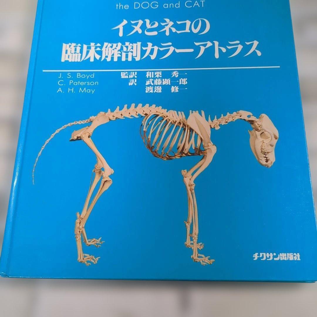 犬と猫の臨床解剖カラ―アトラス