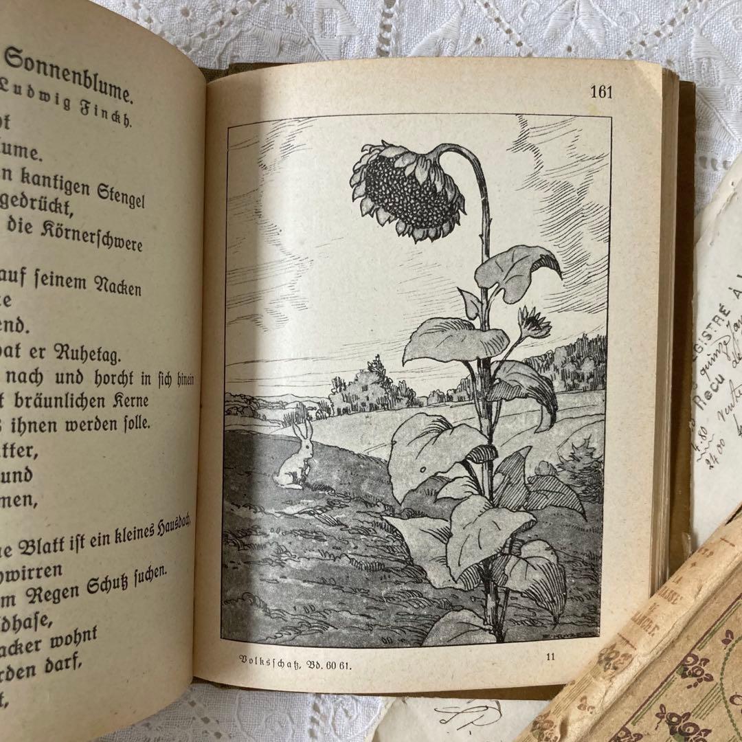 L850洋書　1925年発行　ドイツのアンティーク古書　 花のおとぎ話