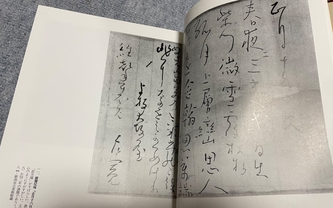 良寛墨蹟大観 （第五巻）書状篇・中央公論美術出版・大型本