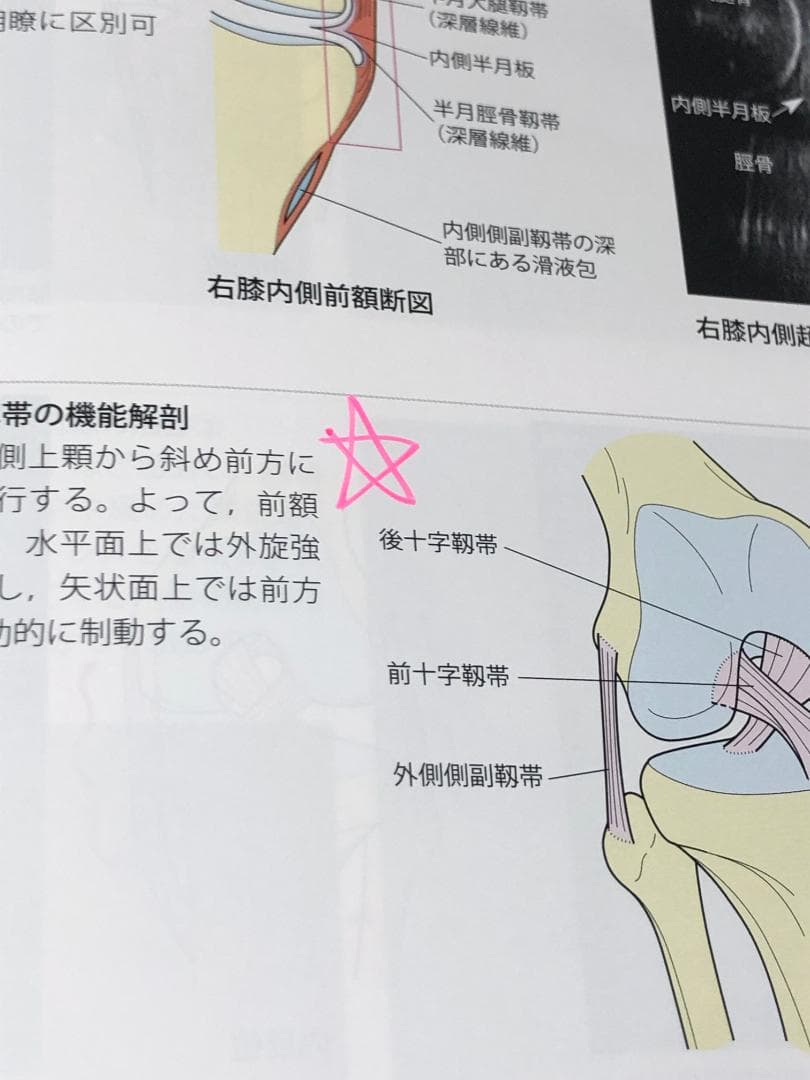 機能解剖学的触診技術 改訂第2版 上下セット