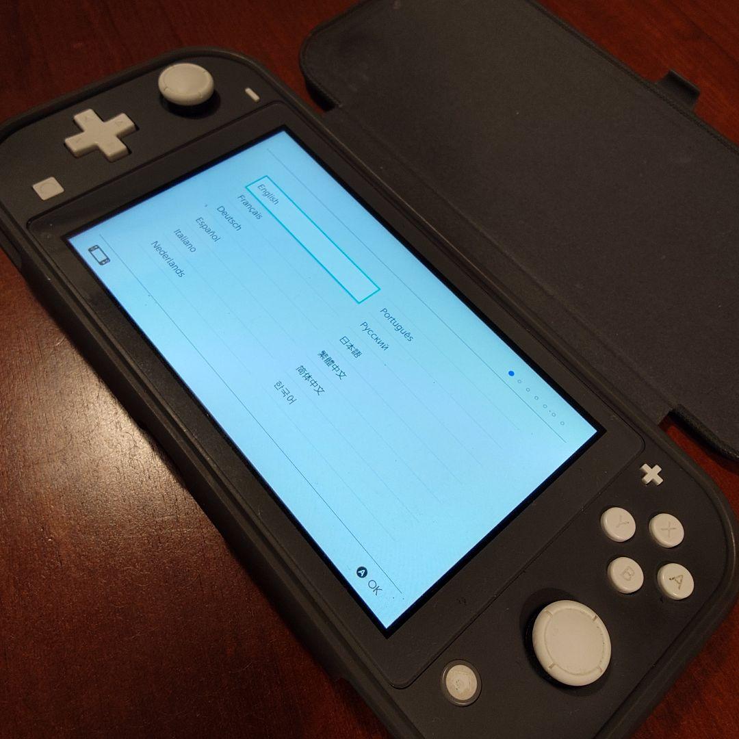 ふ*ぐ様 Nintendo Switch Lite グレー ケース付き