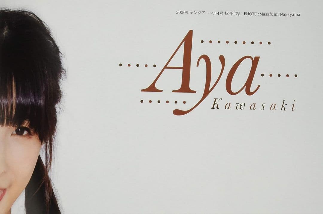 ヤングアニマル 2020年 2/28 号 [雑誌]×3冊