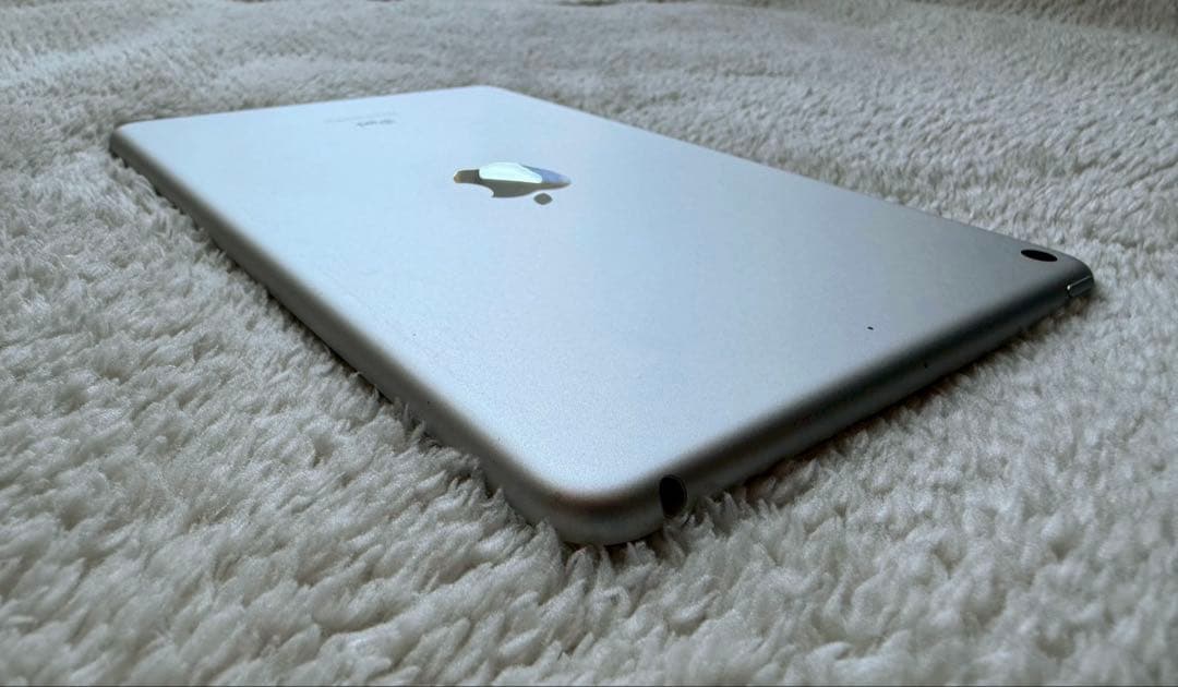 Apple iPad mini 第5世代 美品