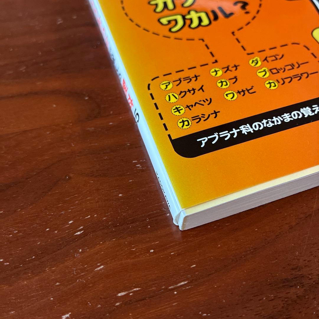 ★お取引中★中学受験 ここで差がつく! ゴロ合わせで覚える理科85