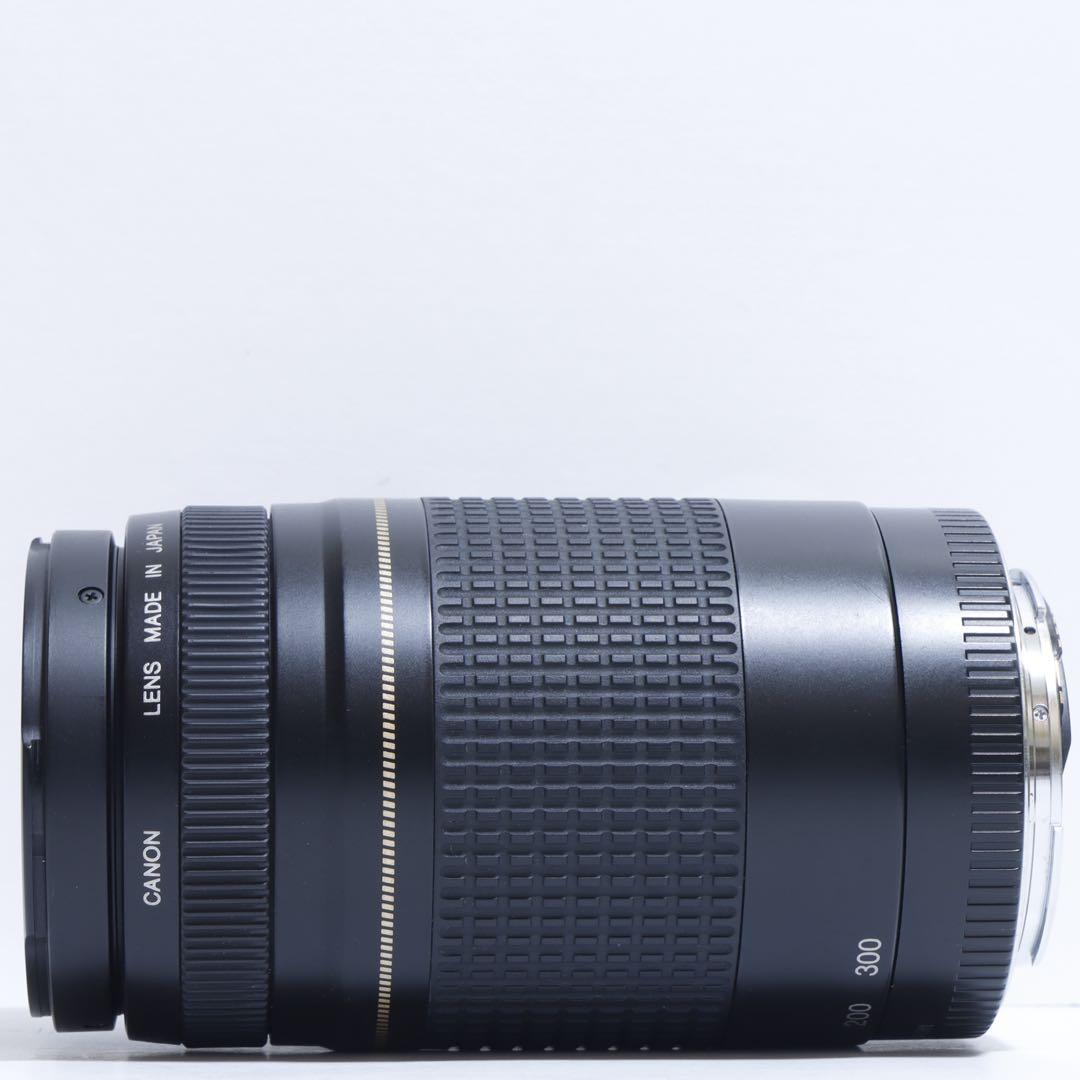◇超望遠&高速AF◇ Canon純正 75-300mm II型 望遠レンズ ◇