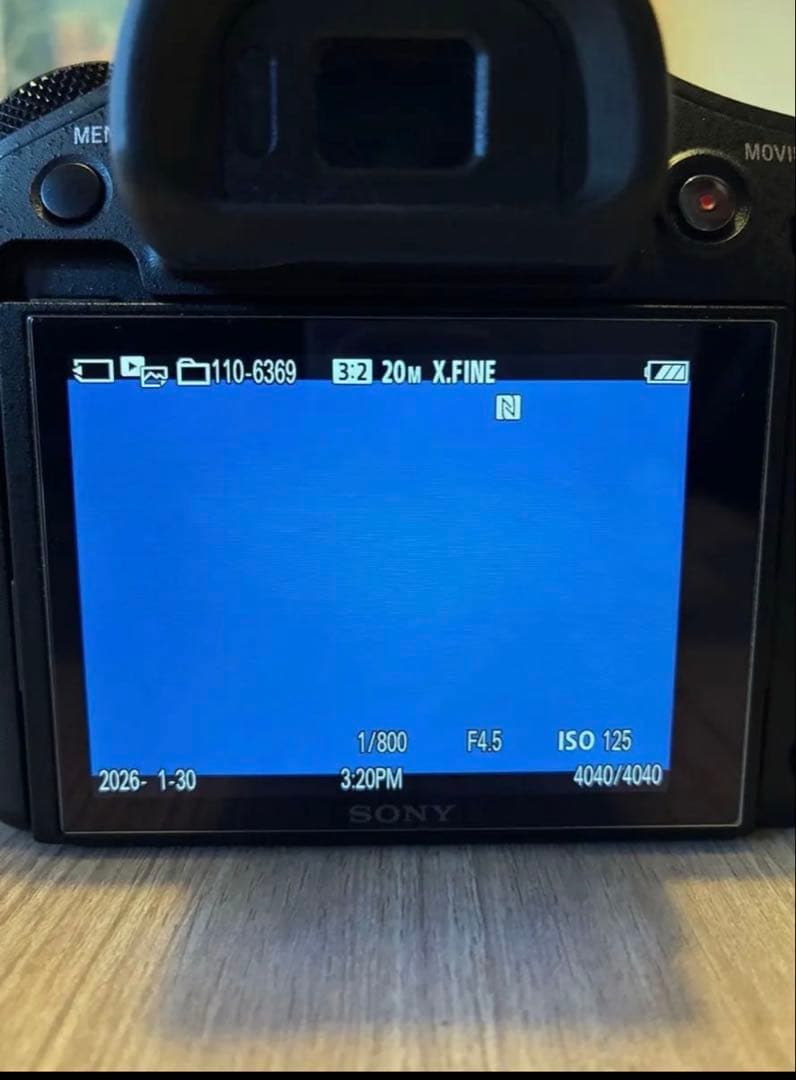 SONY サイバーショット　RX10