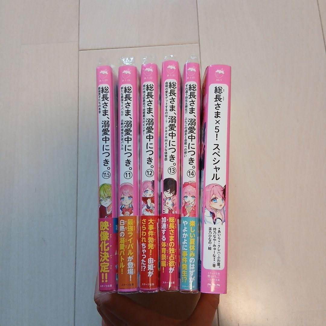 総長さま、溺愛中につき。 16冊セット番外編つき　野いちごジュニア文庫