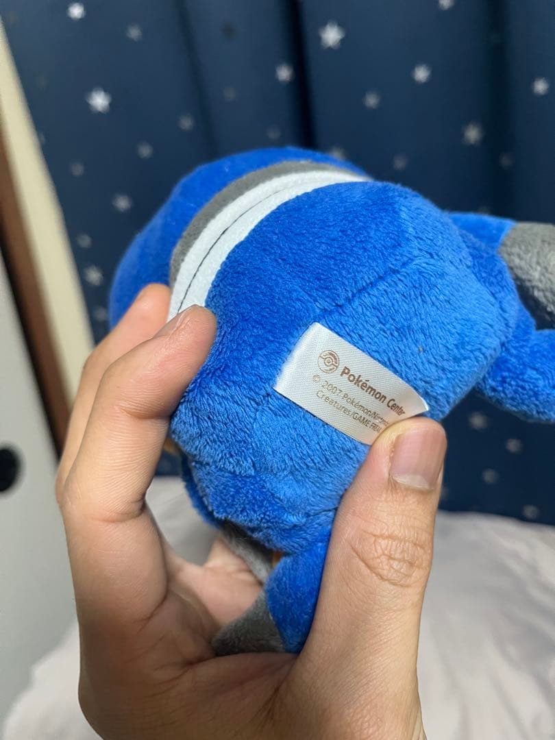 ポケモンぬいぐるみ　ポケドール　11本セット