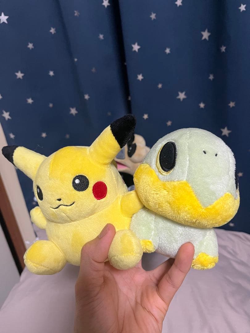 ポケモンぬいぐるみ　ポケドール　11本セット