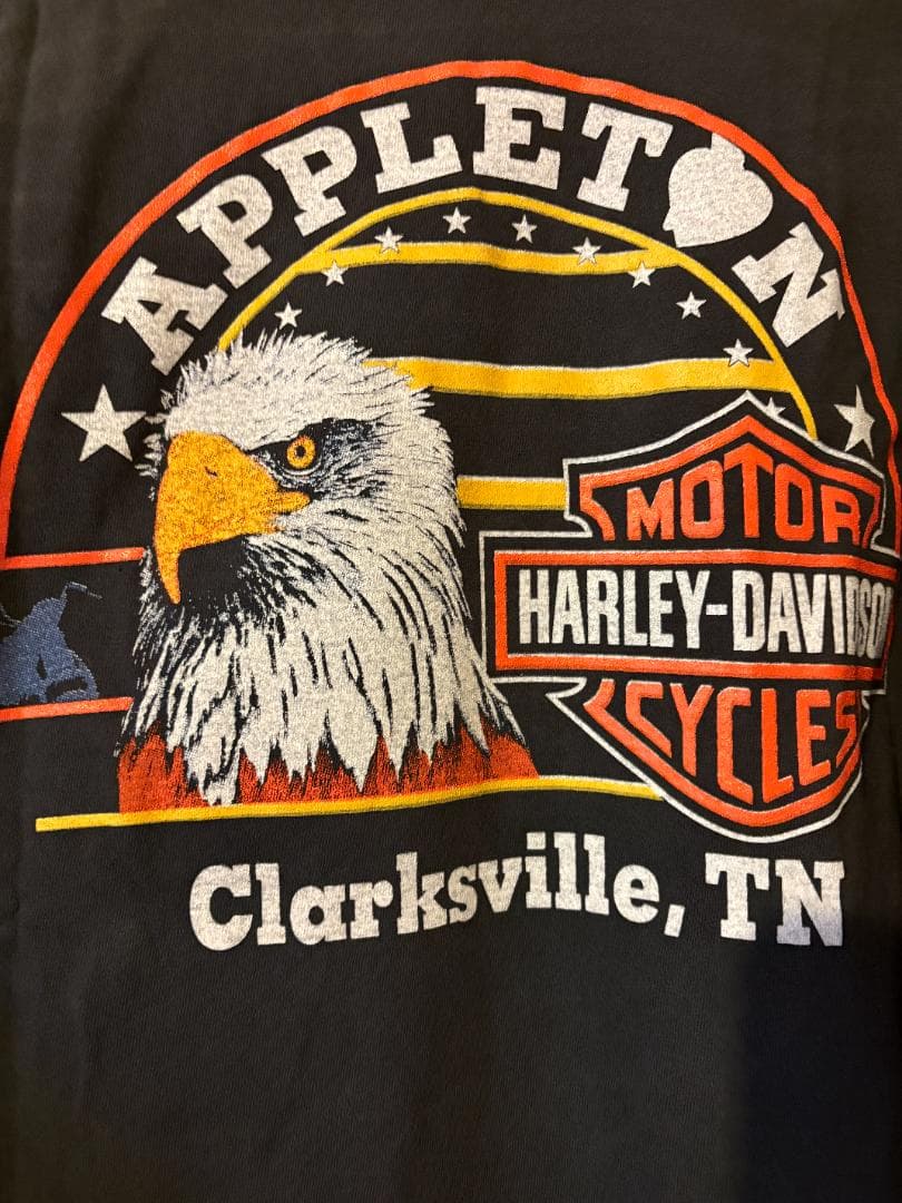 タ*モ様 ハーレーダビッドソン Harley-Davidson フレイム ロンT
