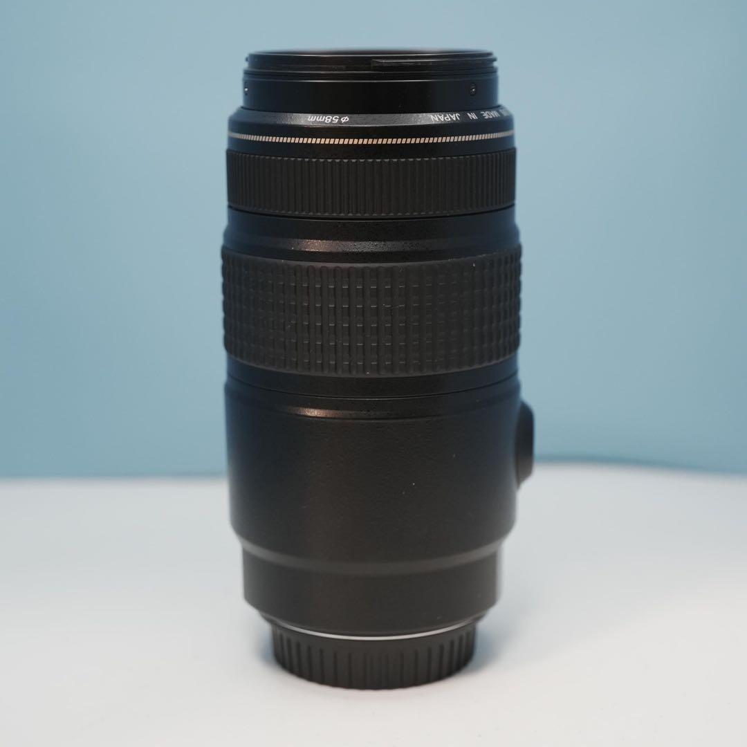 Canon純正 75-300mm 望遠レンズ 美品 a3264