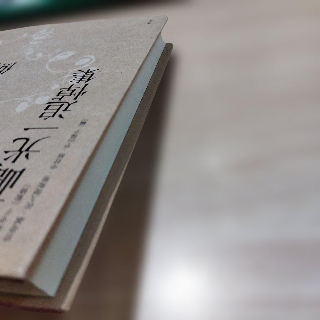 豊崎光一追悼集 沈黙の向こう側　2013年初版 229P HC