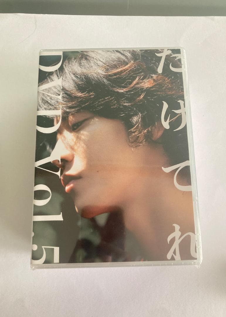 たけてれ DVD Vol.1～6 13yearsANNIVERSARY BOOK