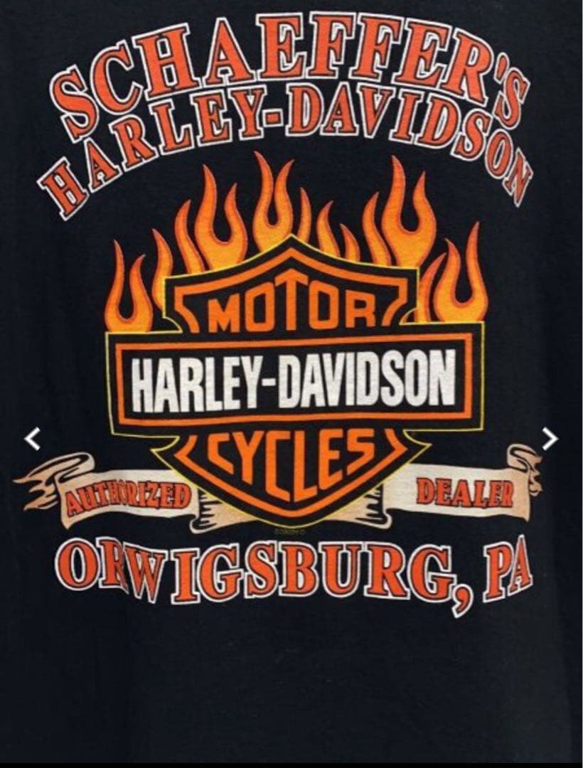 フレイム ファイヤーパターンHARLEY-DAVIDSON XL Tシャツ