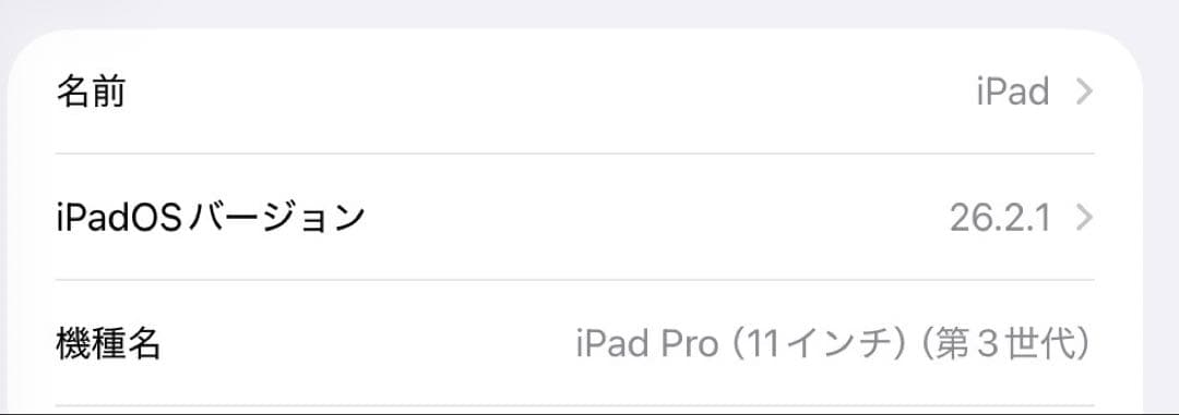 液晶不良 Apple iPad Pro 第3世代 11インチ 128GB