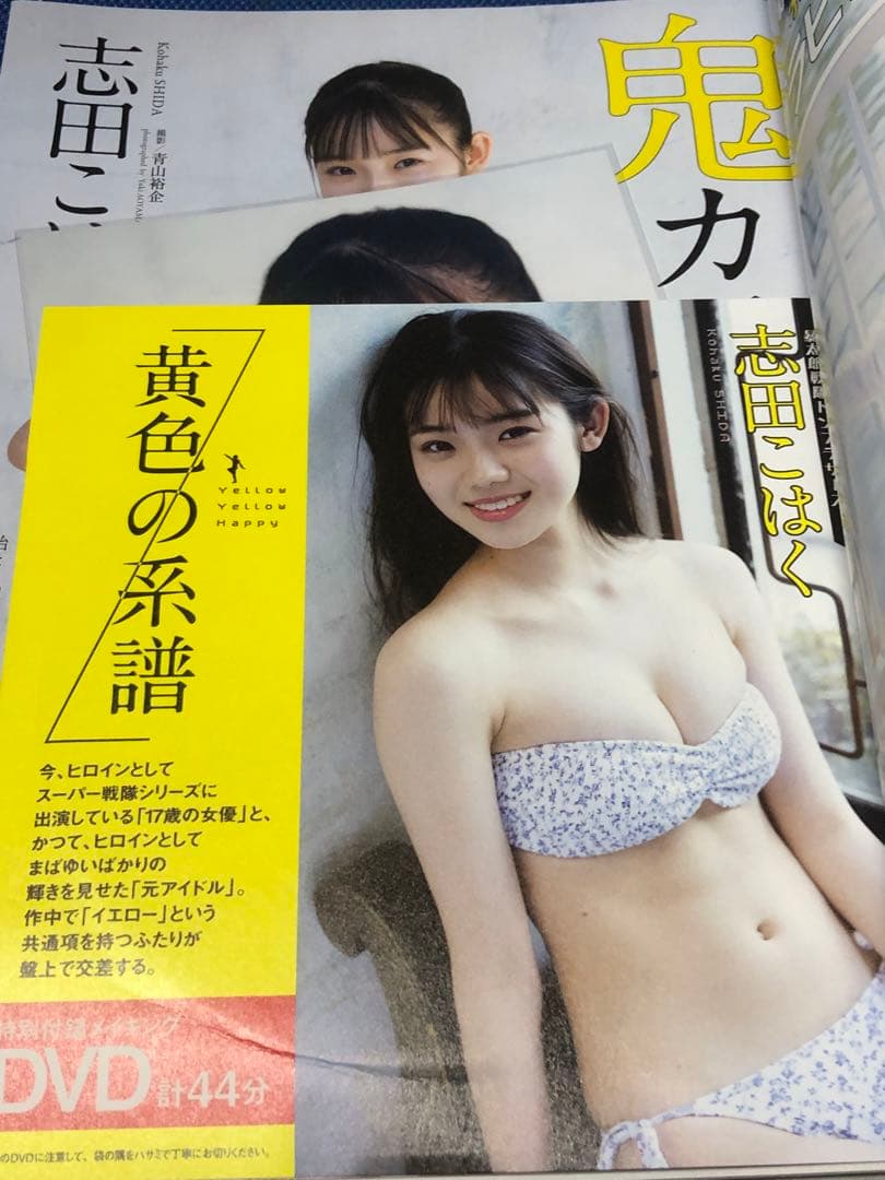 【直筆サイン入り】週刊プレイボーイ 2022年 NO.14 未開封DVD