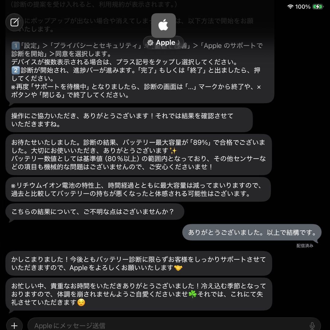 iPad Pro 11インチ 第1世代 Cellular 512GB