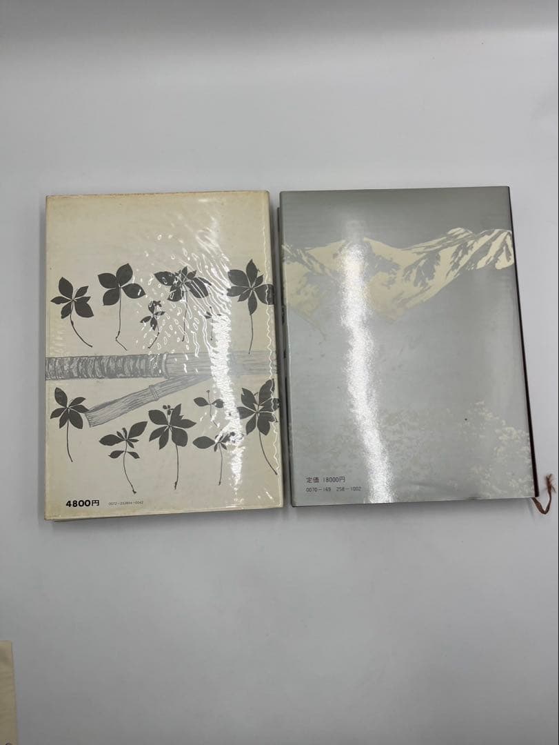 田淵行男　山の意匠　雪形　1971年　1981年　初版