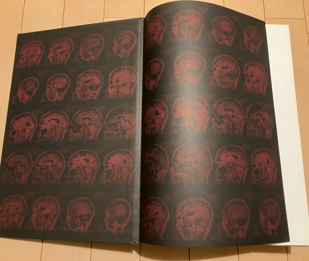 Peter Beard 　Taschen発刊