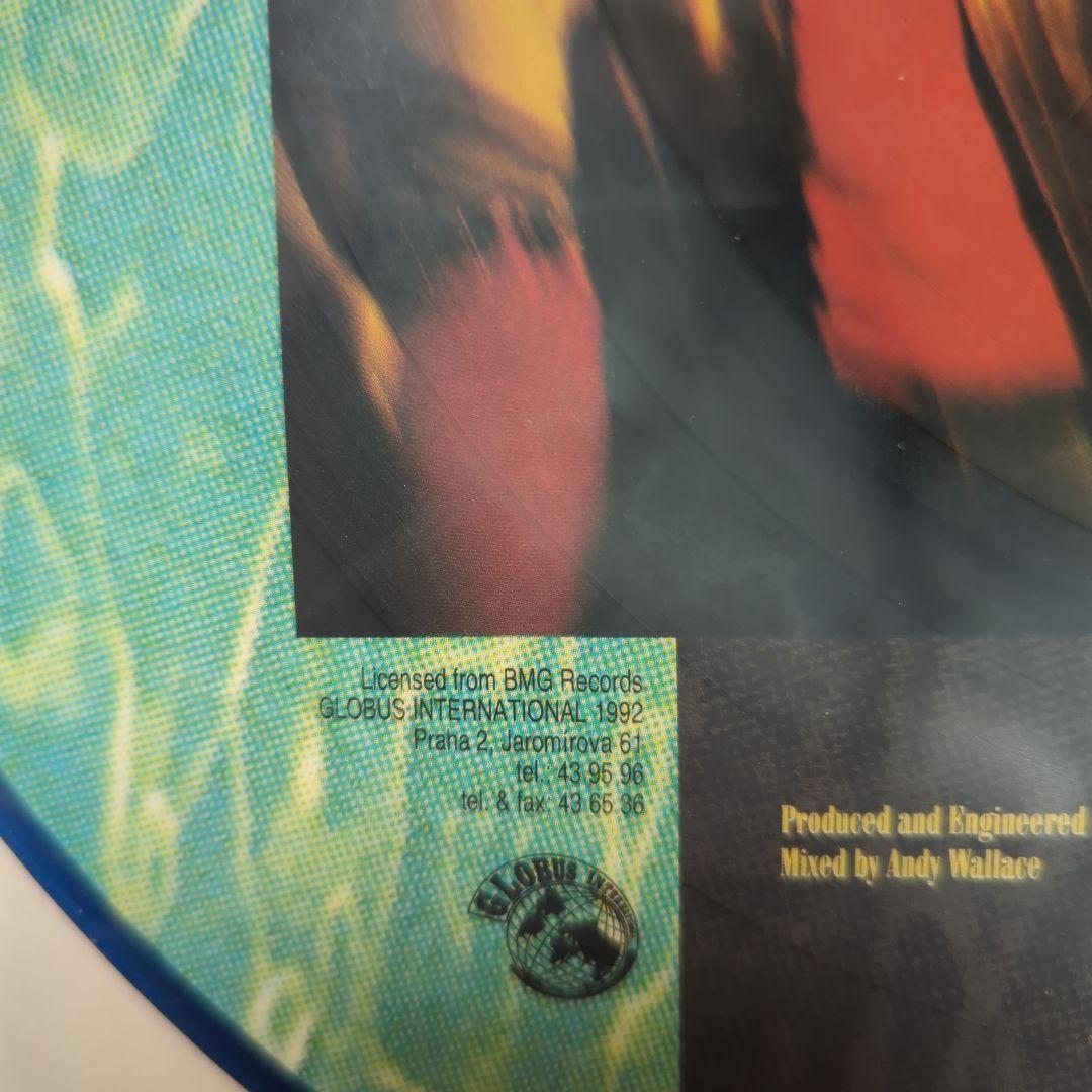 NIRVANA/NEVERMIND/ピクチャー盤レコード