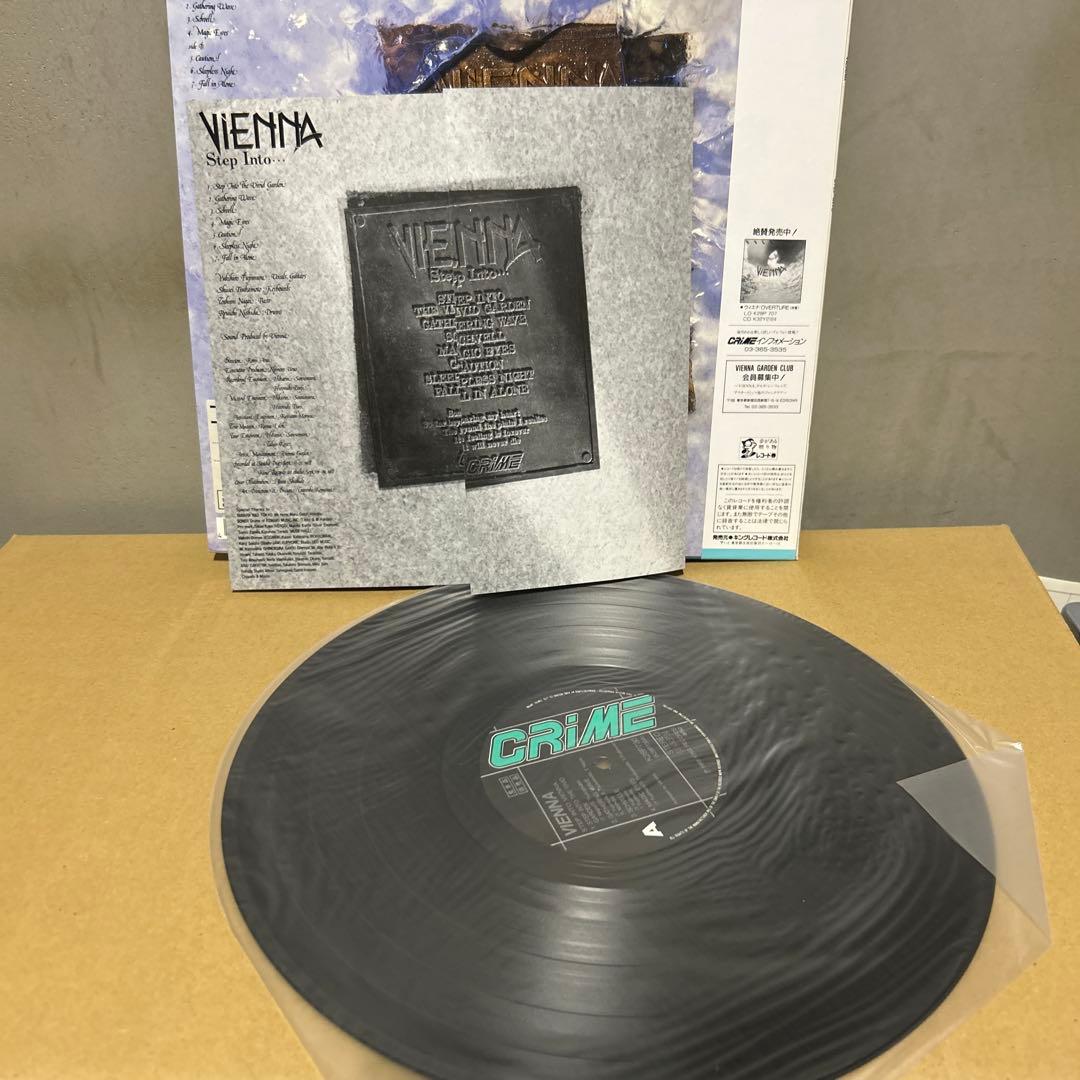 VIENNA ヴィエナ　ジャパメタ　レコード2枚セット