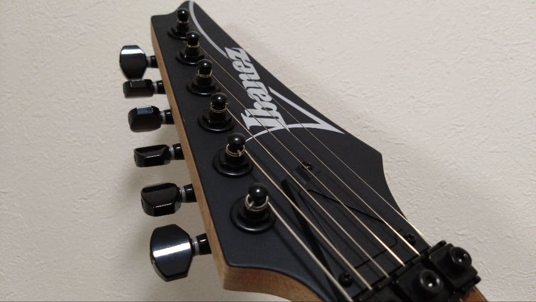 【サム】Ibanez アイバニーズ RG370ZB WB