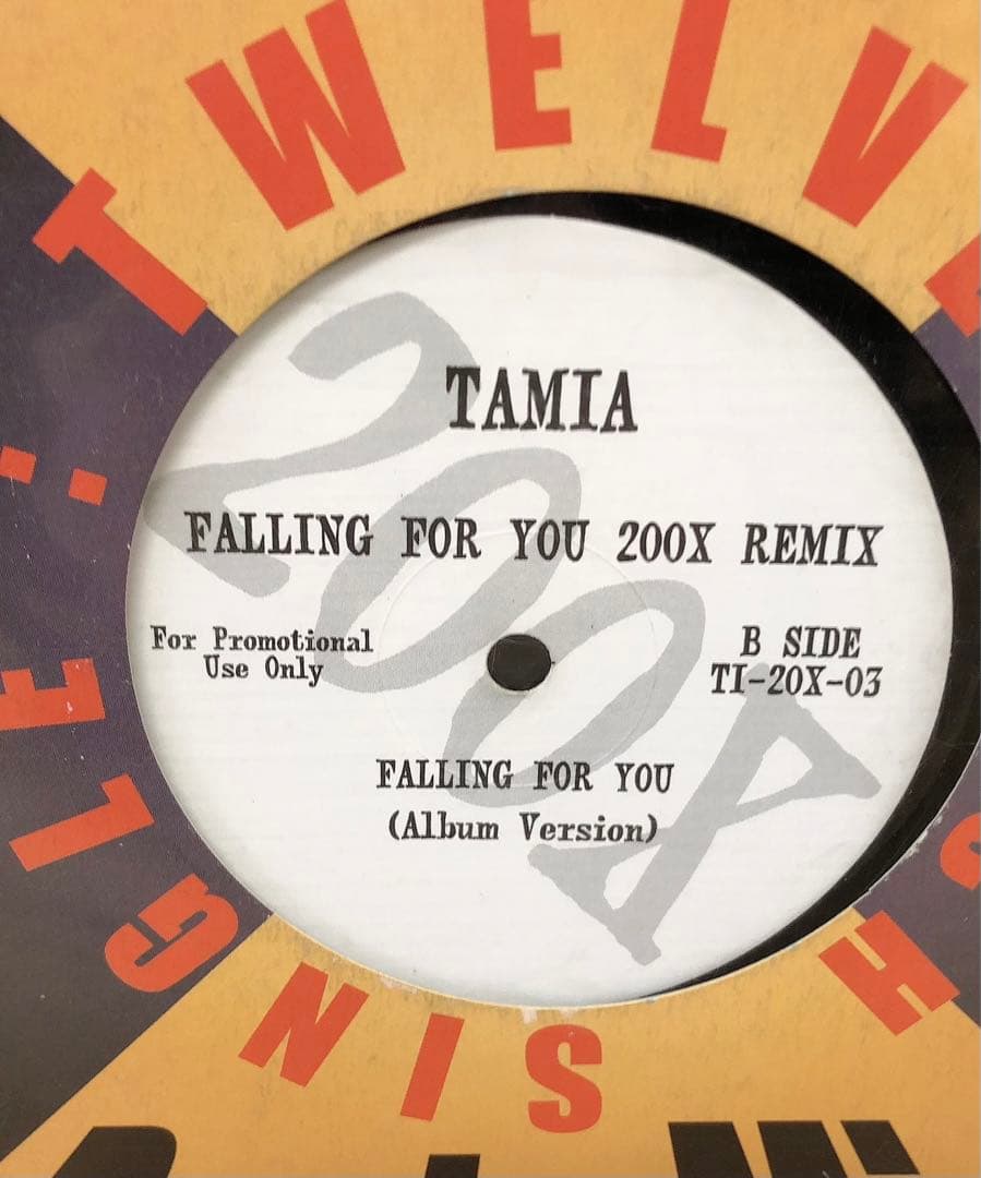 レア Tamia - Falling For You (200X Remix)