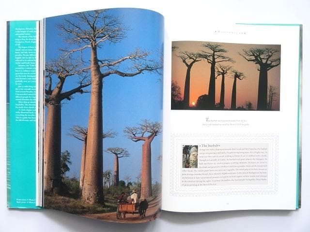 洋書◆インド洋の写真集 本 マダガスカル レユニオン モーリシャス セーシェル