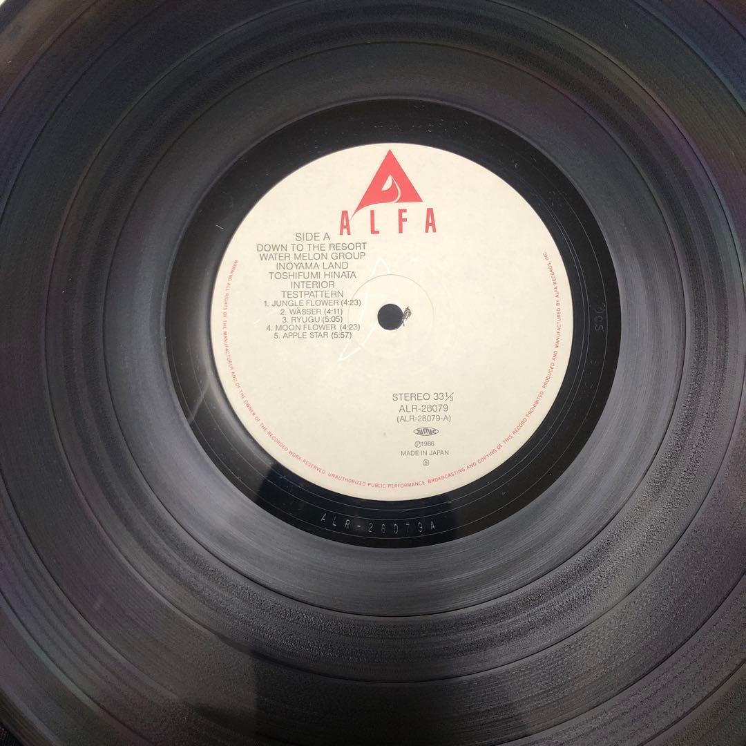 【レア】避暑地まで Down To The Resort レコード LP