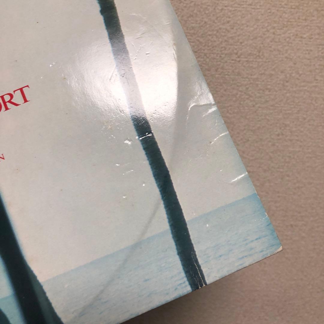 【レア】避暑地まで Down To The Resort レコード LP