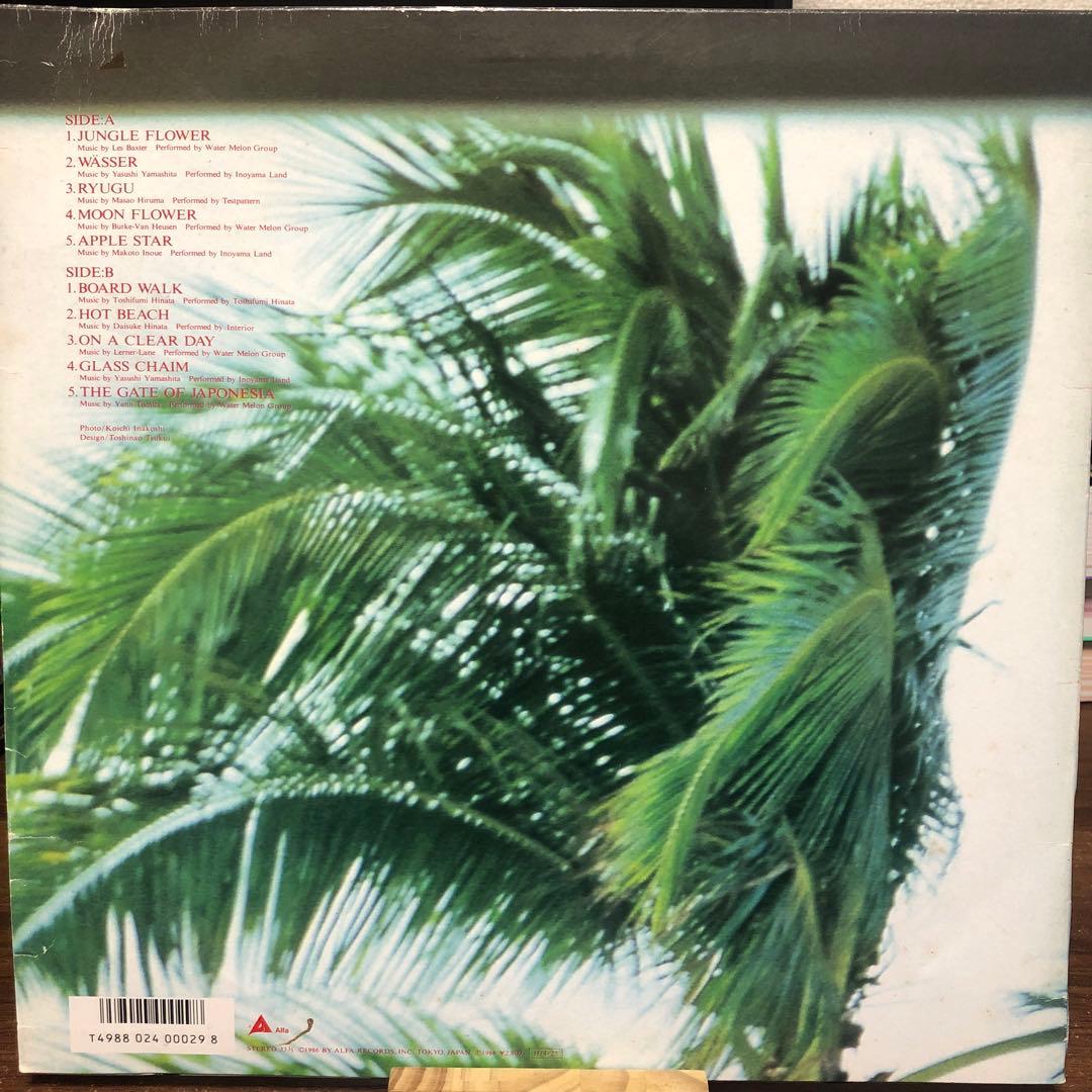 【レア】避暑地まで Down To The Resort レコード LP