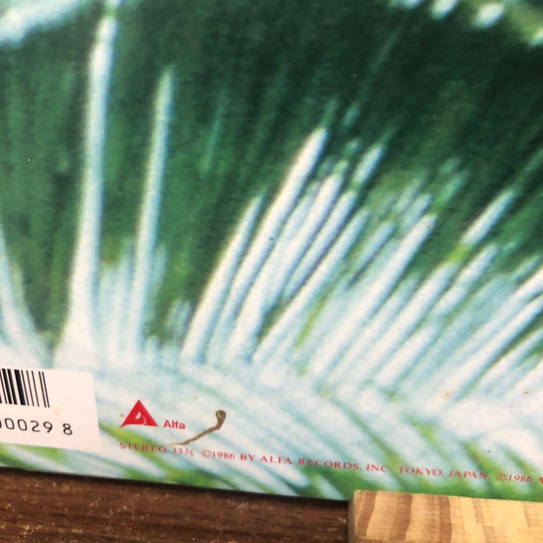 【レア】避暑地まで Down To The Resort レコード LP