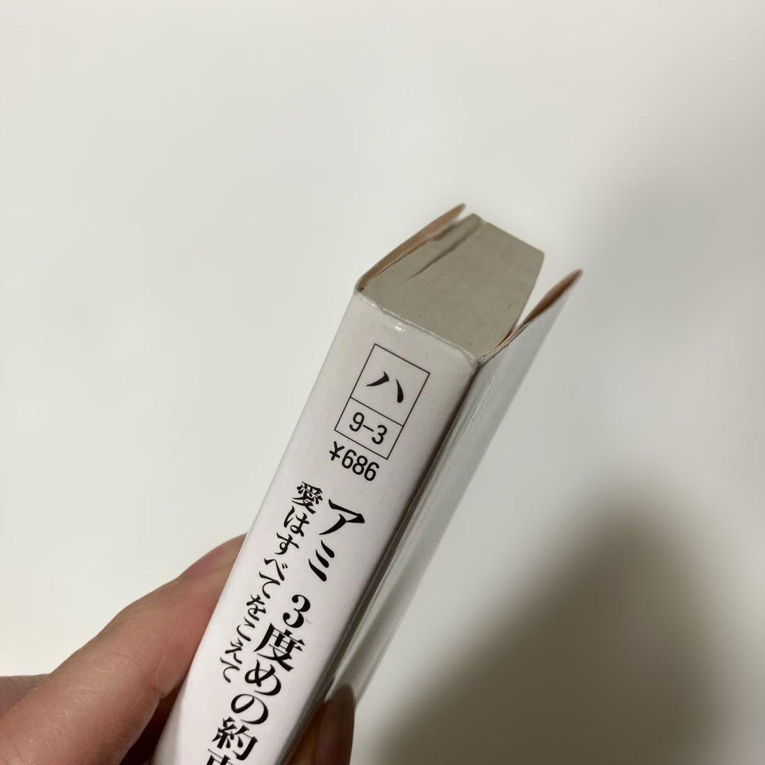 アミ3度めの約束 愛はすべてをこえて