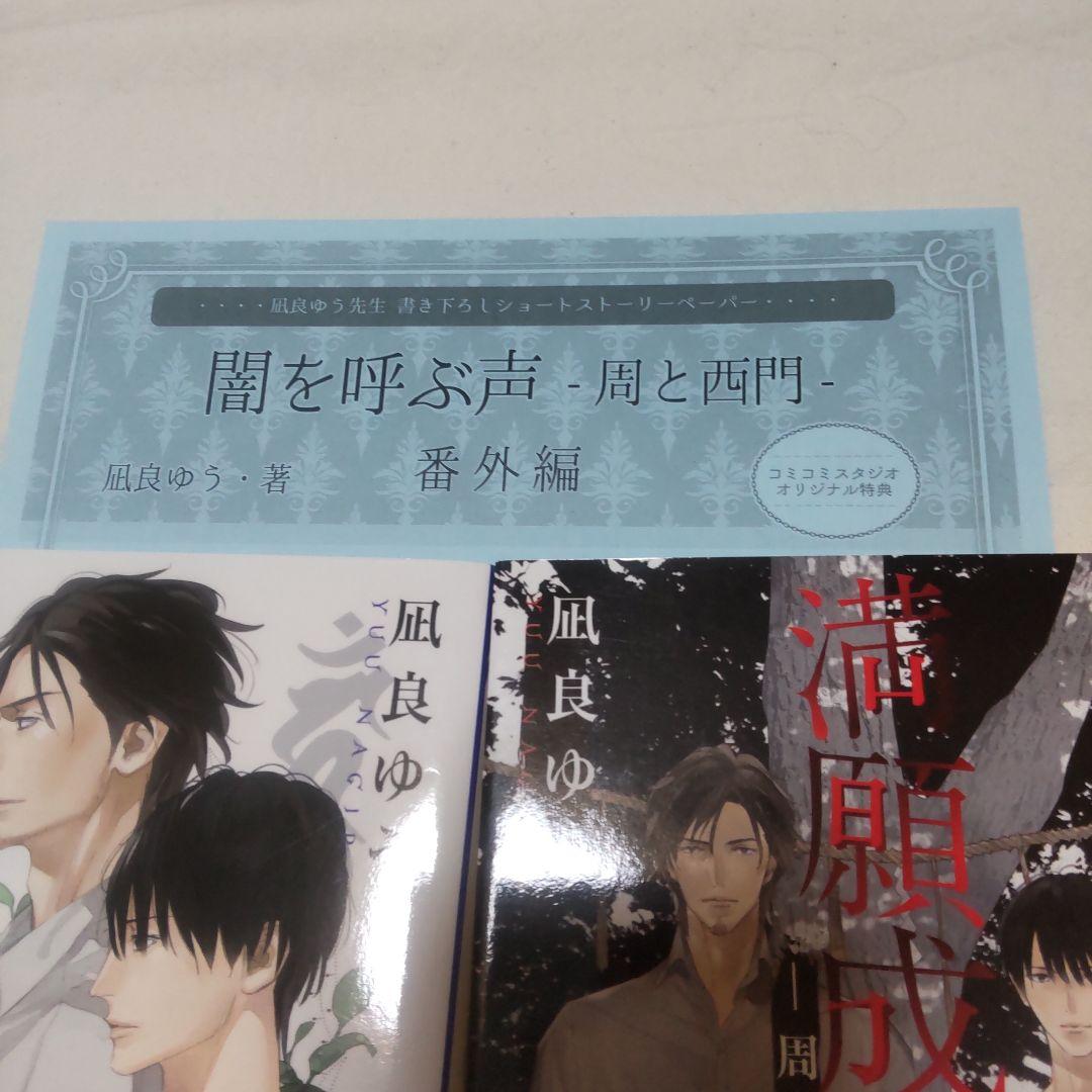 H 凪良ゆう 10周年 プラチナ文庫 全サ小冊子BL 積木の恋　お菓子の家 特典