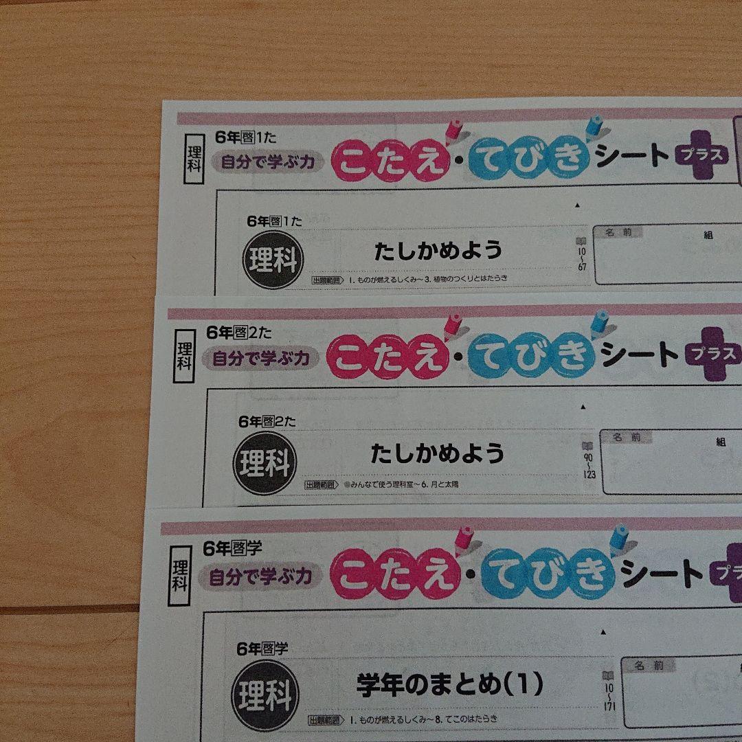 ６年 理科カラーテスト