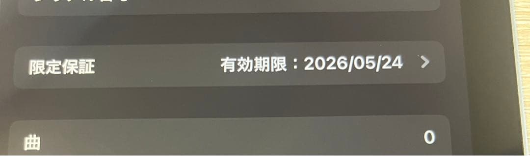 Apple iPad 10世代 シルバー