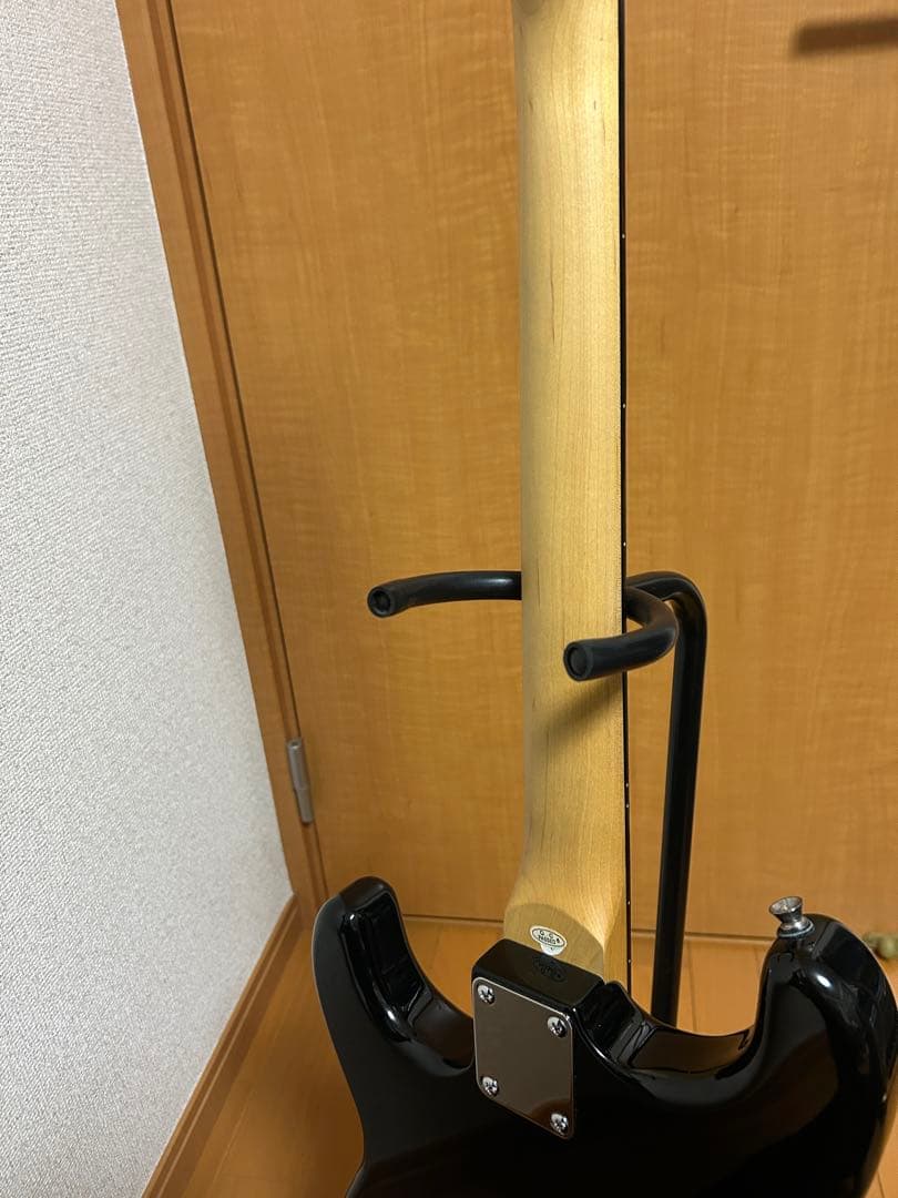 PhotGenic ストラトタイプ各部調整済み