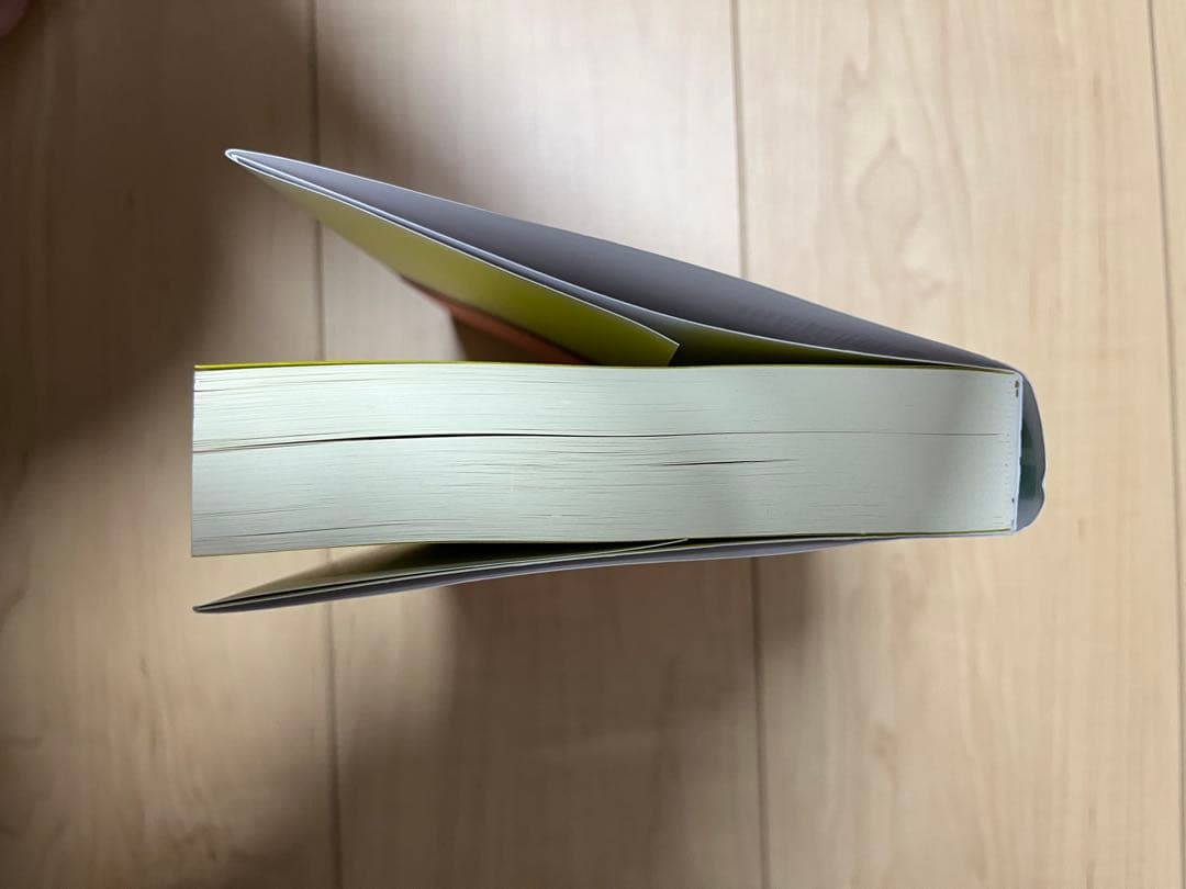 DUB論 ほぼ新品