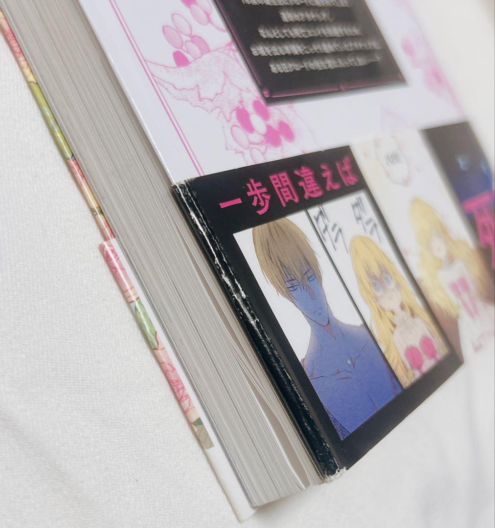 ある日、お姫様になってしまった件について 1〜8巻　ある姫　アタナシア　アーティ